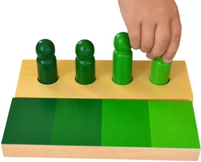 Supports fine motor skills and coordination