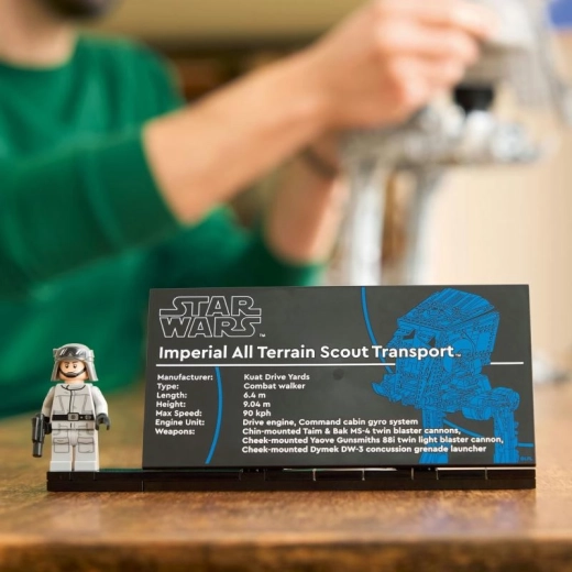Kolekcinis stendas su pavadinimo lentele ir minifigūrėle
