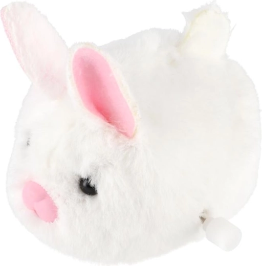 Mielas judesys tarsi gyvas