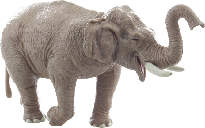 Patvari ir stabili konstrukcija