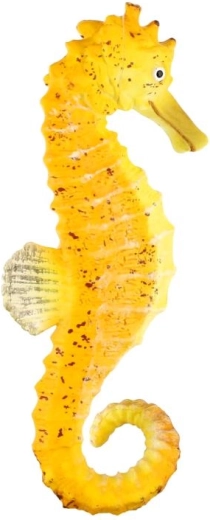 Kompaktiškas 8 cm dydis