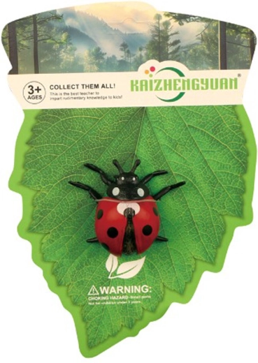 A toy for young explorers
