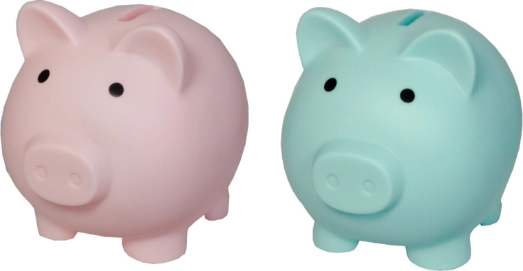 Pig-shaped Money Box