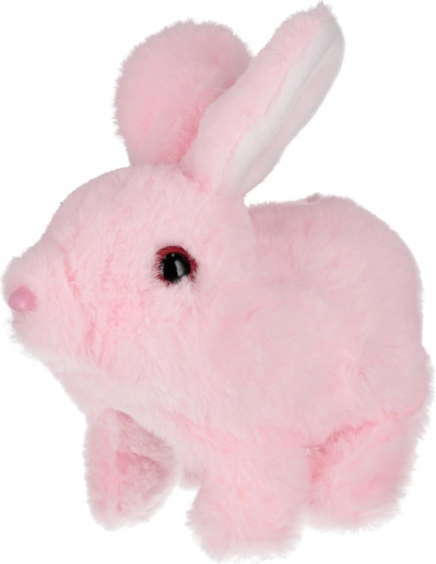 Švelnus pliušas, kviečiantis glaustytis