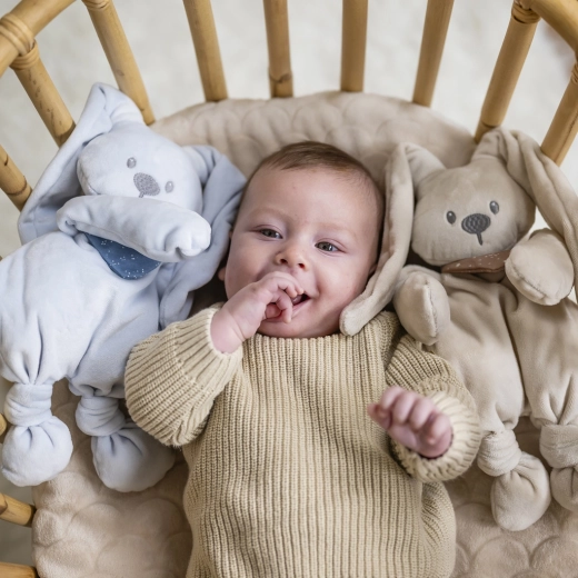 Cuddle toy from birth for home and travel