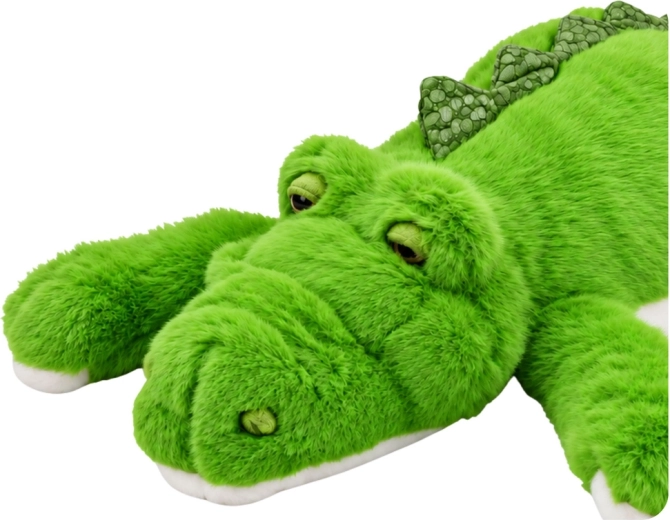 Distinctive green crocodile design
