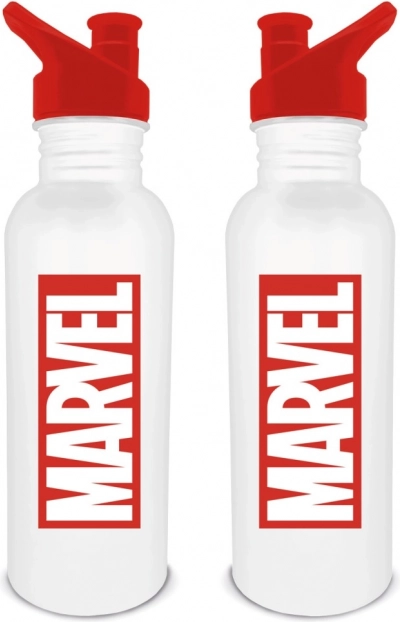 Stainless Steel Drinking Bottle with Marvel Logo