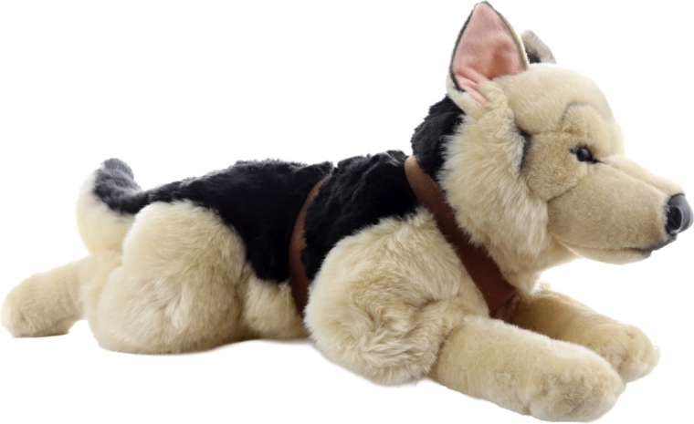 Praktiška gulima poza su pakinktais