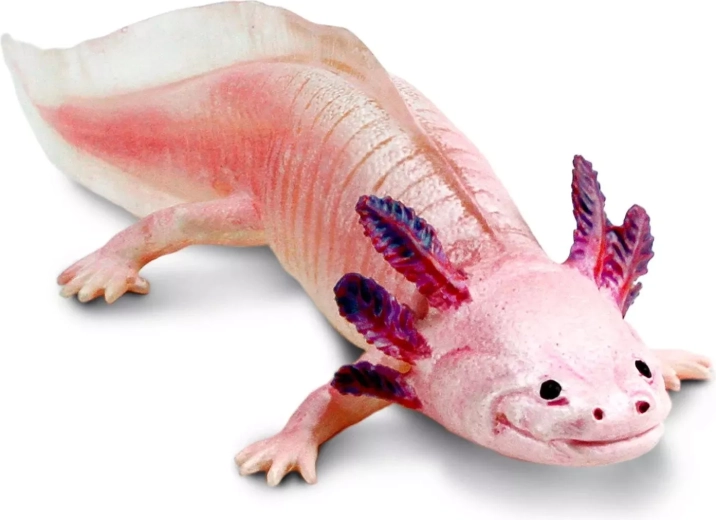 Safari Ltd. aksolotlio figūrėlė