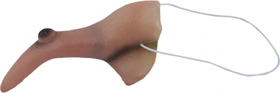 Raganos nosis su karpa Helovinui