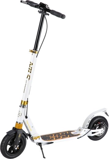 Sulankstomas miesto paspirtukas NILS Extreme HM209T baltos–auksinės spalvos
