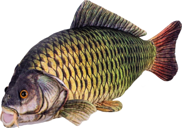 Pliušinis karpis 52 cm