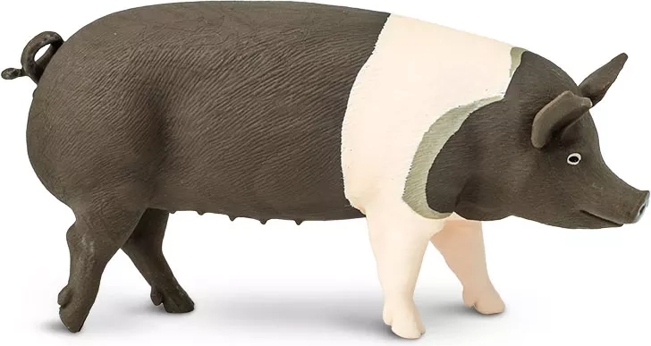 Hampshire kiaulės figūrėlė Safari Ltd. – 1 vnt.