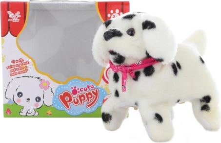 Vaikštantis dalmantinas šuniukas su salto