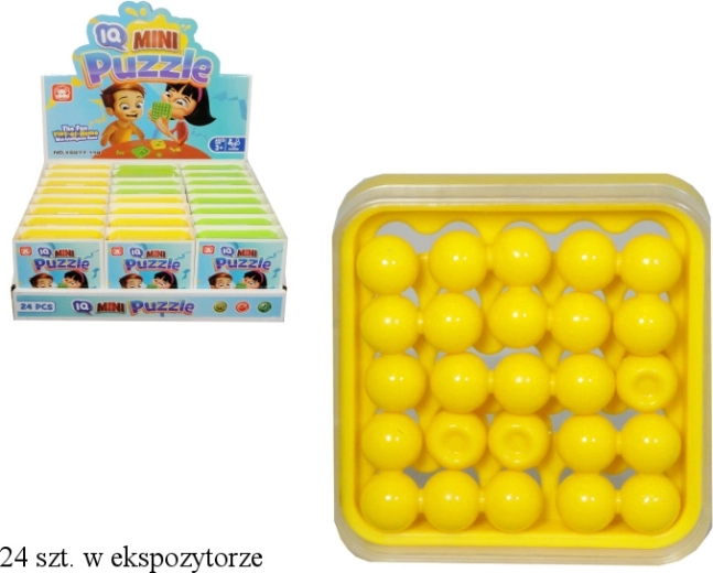 Pocket Logic Puzzle