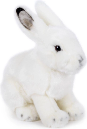 Plush arctic hare 19 × 19 cm