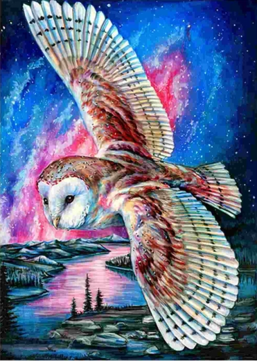 Norimpex deimantinė mozaika Skraidanti pelėda 30 × 40 cm