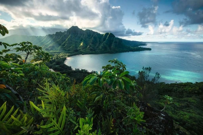 Ravensburger Puzzle Hawaiian View 5000 Pieces