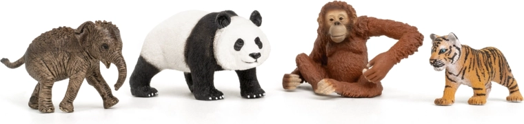 Wild Life Asia Starter Set