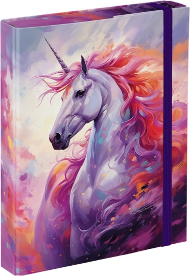 Baagl aplankas A5 sąsiuviniams Vienaragio Karalystė