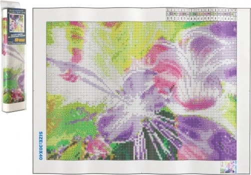 Deimantinė tapyba – magiškoji smuikininkė 30 × 40 cm