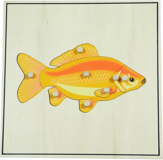 Skeleton Puzzle – Fish