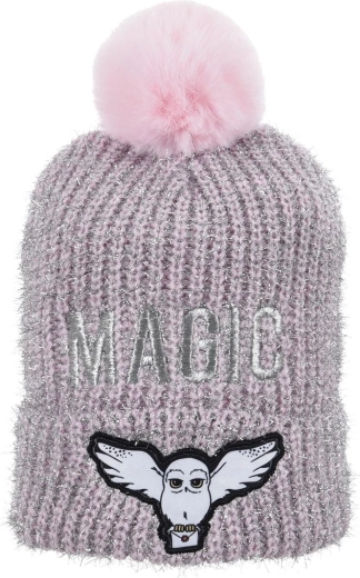 Harry Potter Beanie