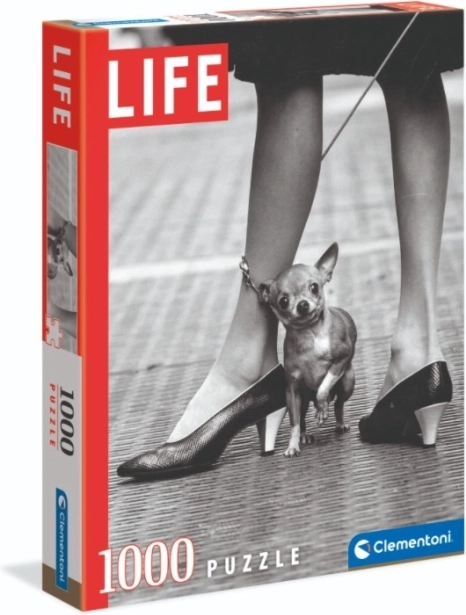 Clementoni dėlionė „Life“ Čihuahua 1000 dalių – Čihuahua