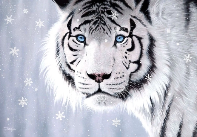 Crystal Eyes Puzzle 500 Pieces