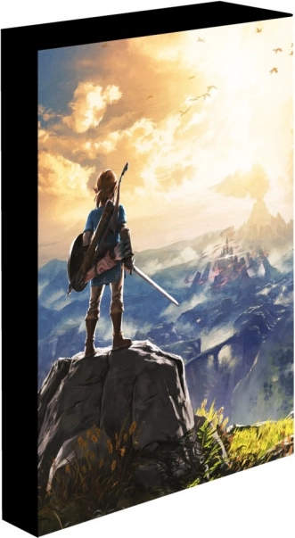 Illuminated LED Picture 30x40 cm Zelda