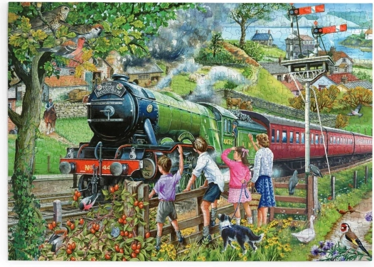 House of Puzzles Full Steam Ahead Puzzle, 500 Extra-Large Pieces