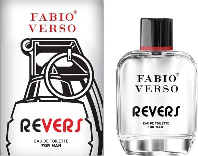 Vyriškas tualetinis vanduo BI-ES Fabio Verso Revers 100 ml