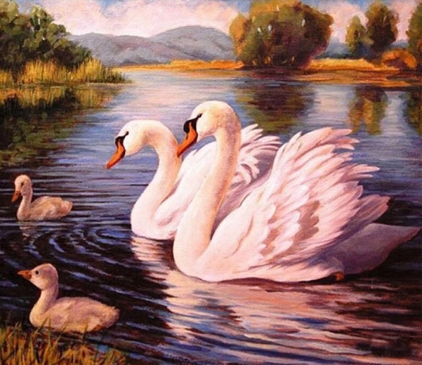 Norimpex Spalvinimas pagal skaičius „Gulbės“, 40 × 50 cm