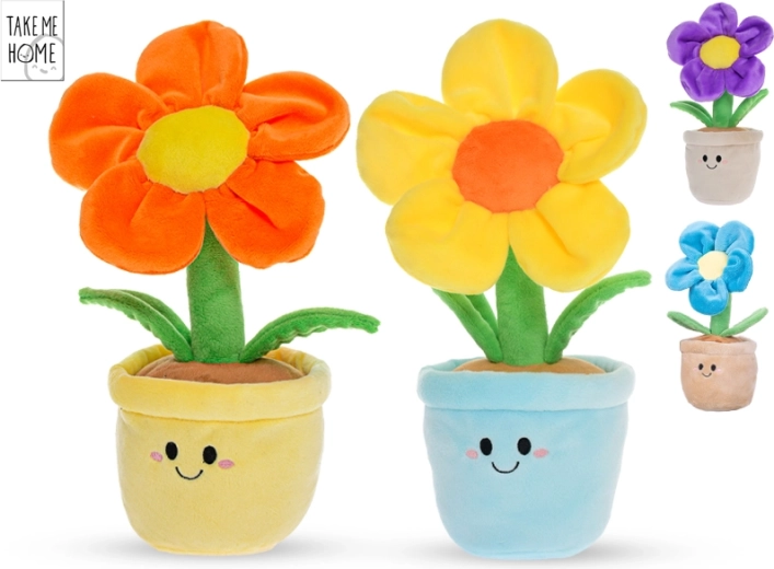 Pliušinė gėlė vazonėlyje Take Me Home 30 cm