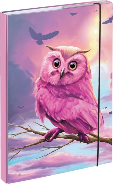 A4 formato pratybų sąsiuvinių dėklai su pelėdos motyvu BAAGL