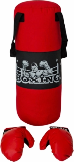 Children's punching bag with gloves