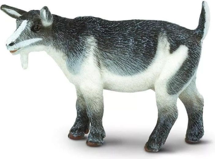 Nykštukinės ožkos figūrėlė Safari Ltd.