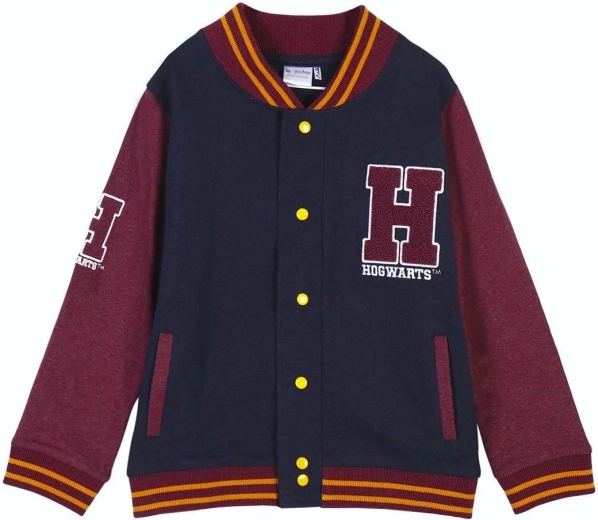 Harry Potter Hoodie