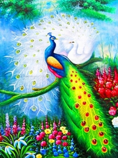 Deimantinė tapyba – povai 30 × 40 cm