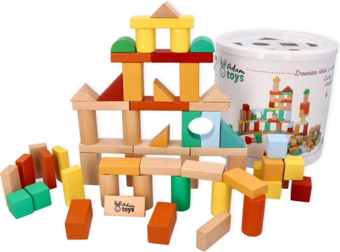 Adam Toys wooden blocks with shape sorter (100 pcs)