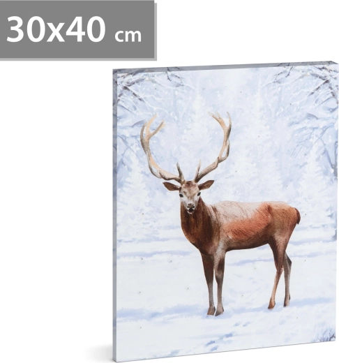 LED Picture with Reindeer