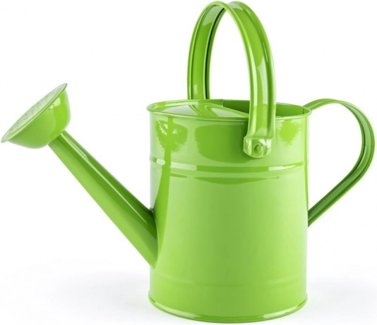 WOODY žalia metalinė laistymo kannelė vaikams