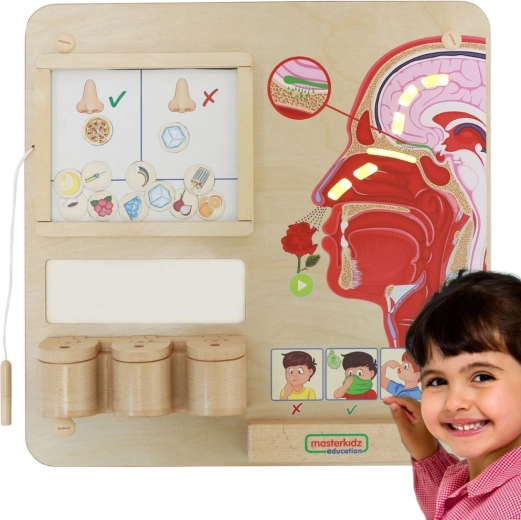 MASTERKIDZ Montessori Educational Board – Sense of Smell