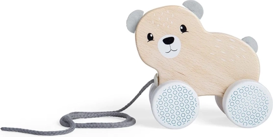 Pull-Along Wooden Teddy Bear BIGJIGS TOYS