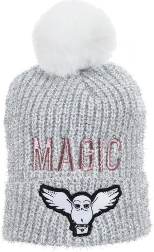 Silver Harry Potter Beanie