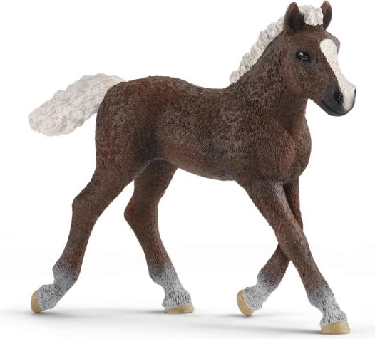 SCHLEICH HORSE CLUB Black Forest Foal – Figurine