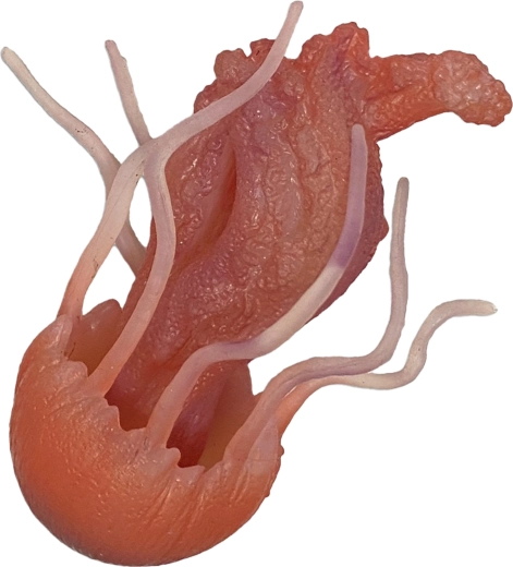 Guminė medūza 10 cm – žaislas voniai ir baseinui