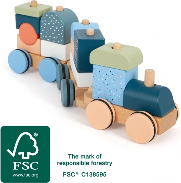 Medinis dėliojamas traukinukas Arctic small foot