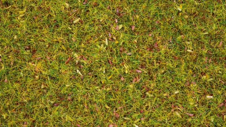 Noch static grass Flowering Meadow 2.5 mm
