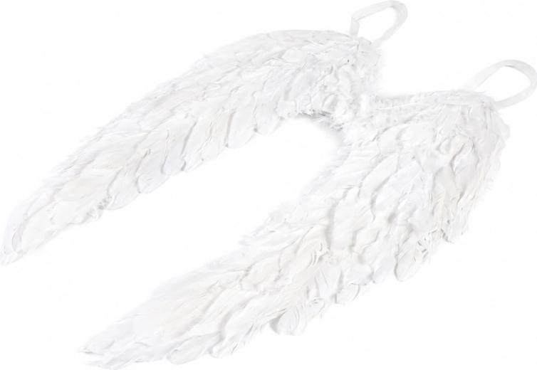 Angel Wings with Feathers